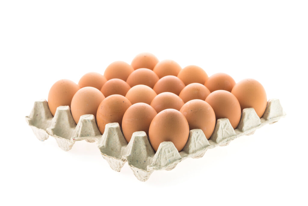 From Waste to Wonder: The Rise of Egg Tray Paper Pulp Manufacturers by veena egg tray