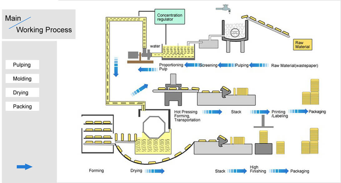 Egg Tray Manufacturer