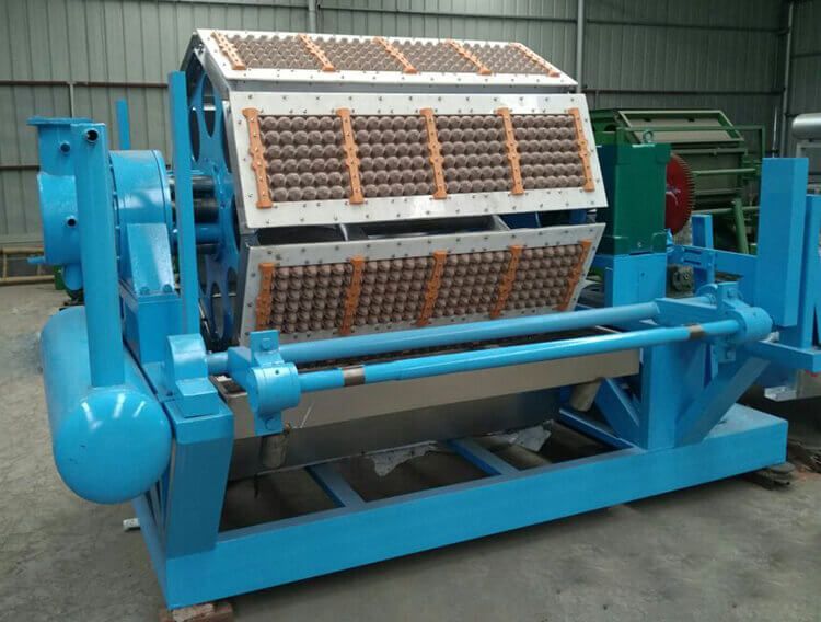 The Egg Tray Manufacturing Process: From Waste Paper to Strong Packaging