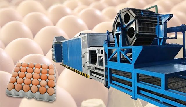 Key Factors to Consider When Selecting an Egg Tray Manufacturer