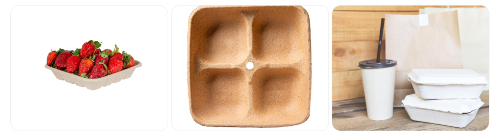 Beyond Eggs: 7 Creative Uses of Paper Pulp Trays in Different Industries - Veena egg tray