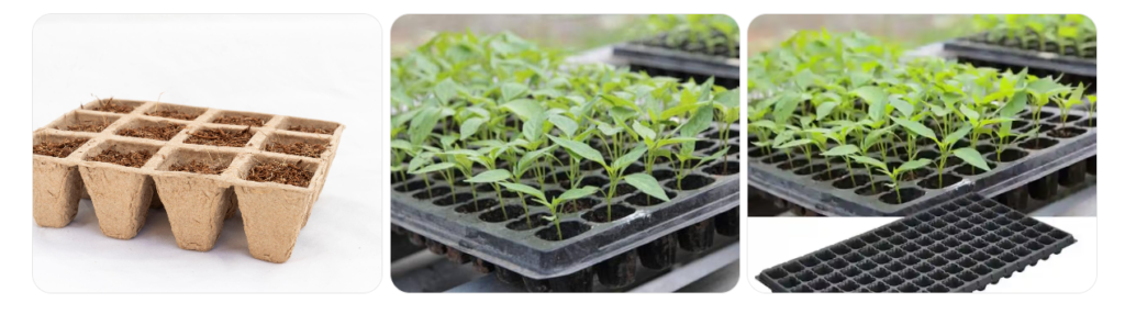 Beyond Eggs: 7 Creative Uses of Paper Pulp Trays in Different Industries - Veena egg tray