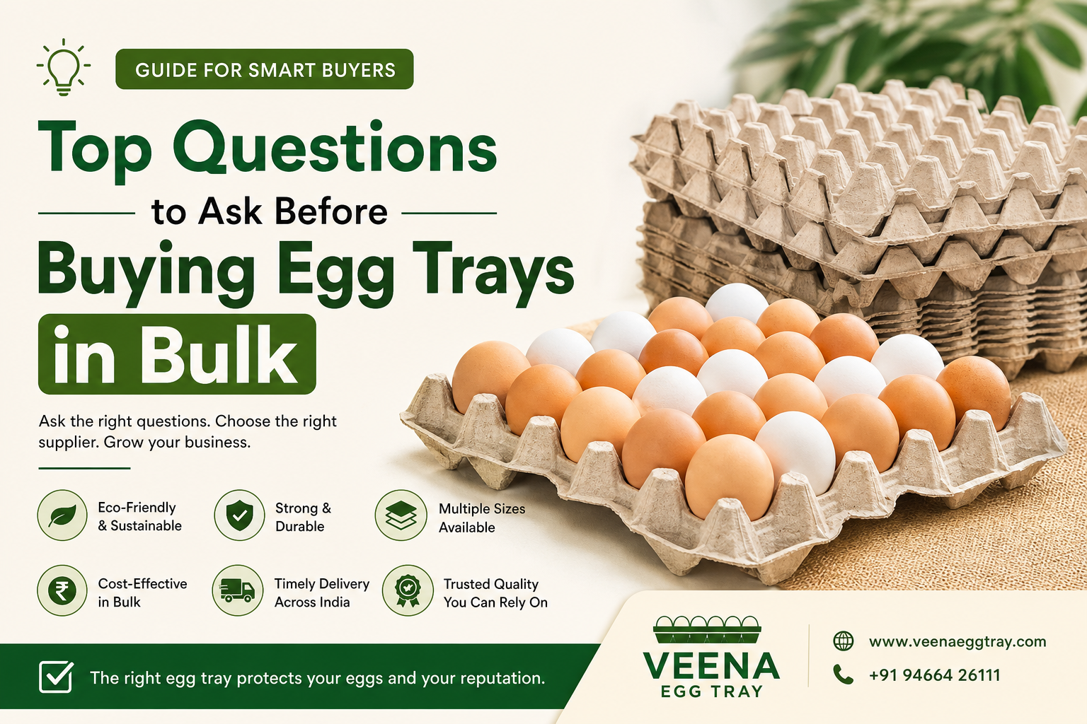 Top Questions to Ask Before Buying Egg Trays in Bulk