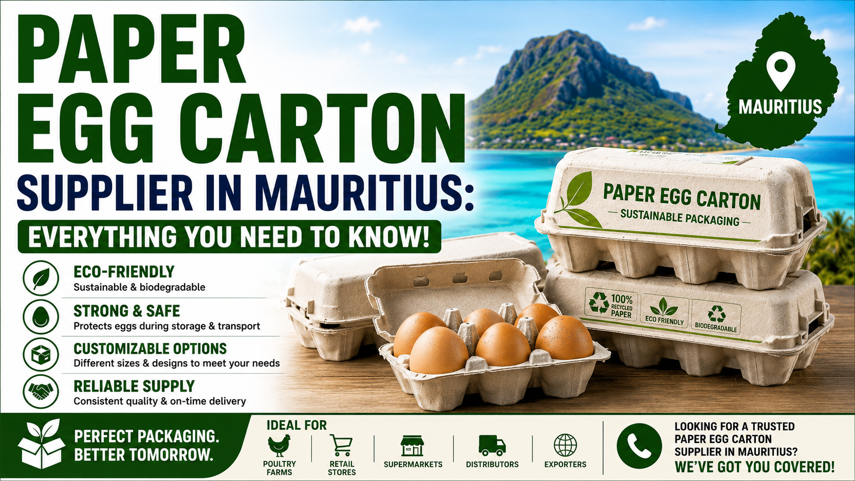 Paper Egg Carton Supplier in Mauritius: Everything You Need to Know