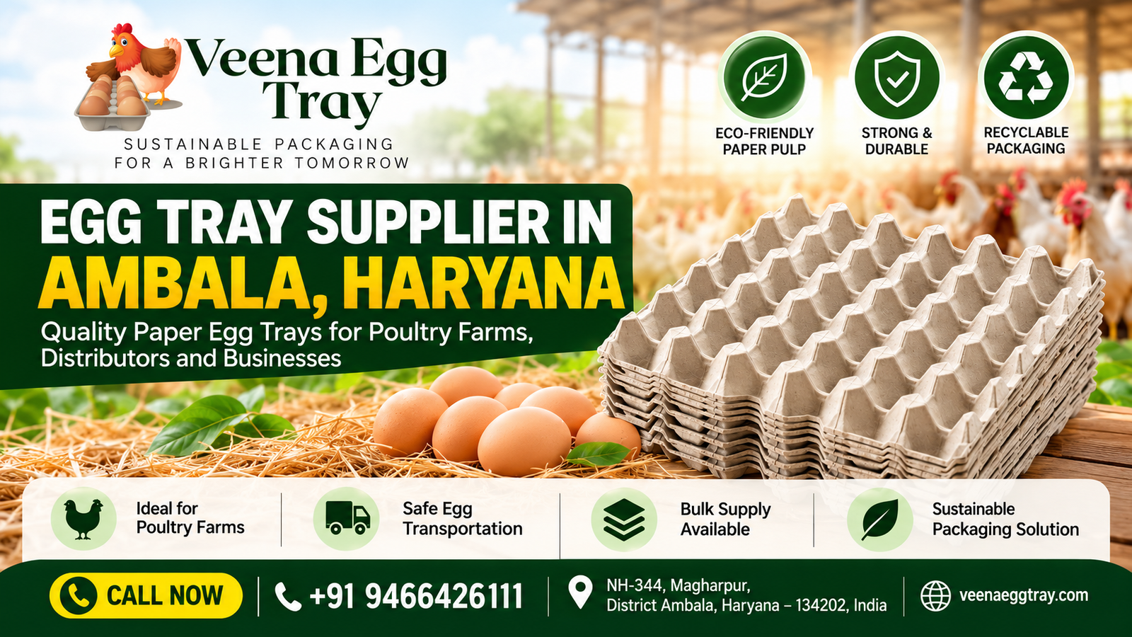 Egg Tray Supplier in Ambala, Haryana: Quality Paper Egg Trays for Bulk Orders veena egg tray